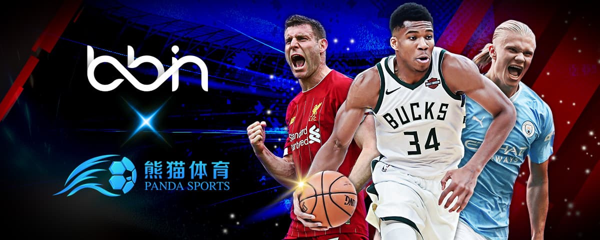 布萊頓迎今夏第四簽！荷蘭U21國門強勢加盟！.